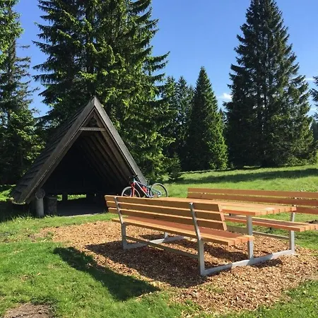 Feriehus Belchenblick - Kehrwieder Todtnauberg