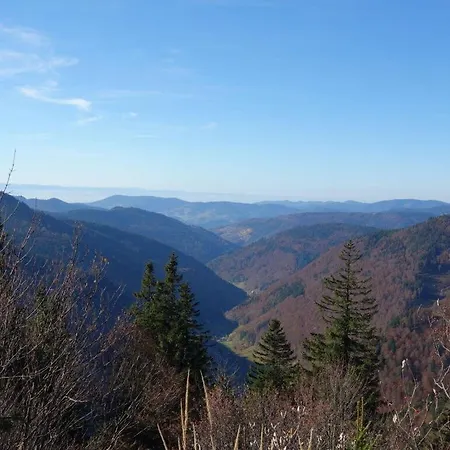 Belchenblick - Kehrwieder * Todtnauberg