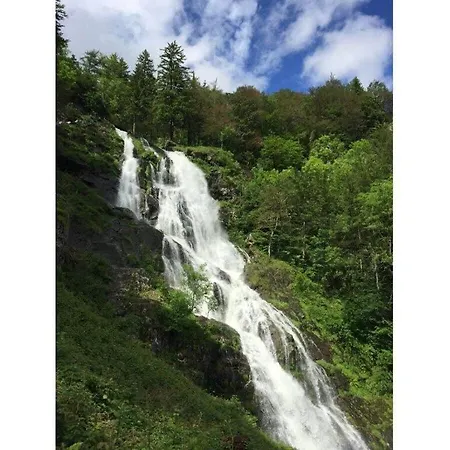 Feriehus Belchenblick - Kehrwieder Todtnauberg