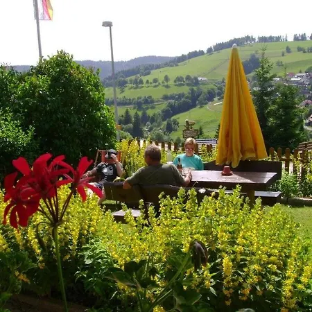 Belchenblick - Kehrwieder * Todtnauberg